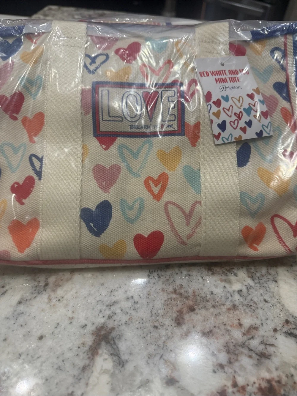 Brighton Beach 🏖️ Towel And Tote NWT